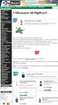 Mobile Screenshot of bigheart.se
